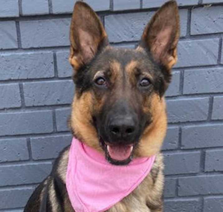 Photo of Georgia