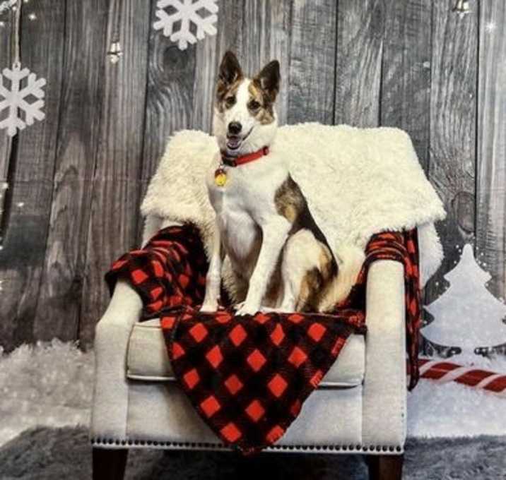 Photo of Cody (Conrad)
