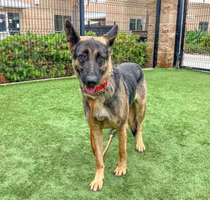 Photo of WILMA
