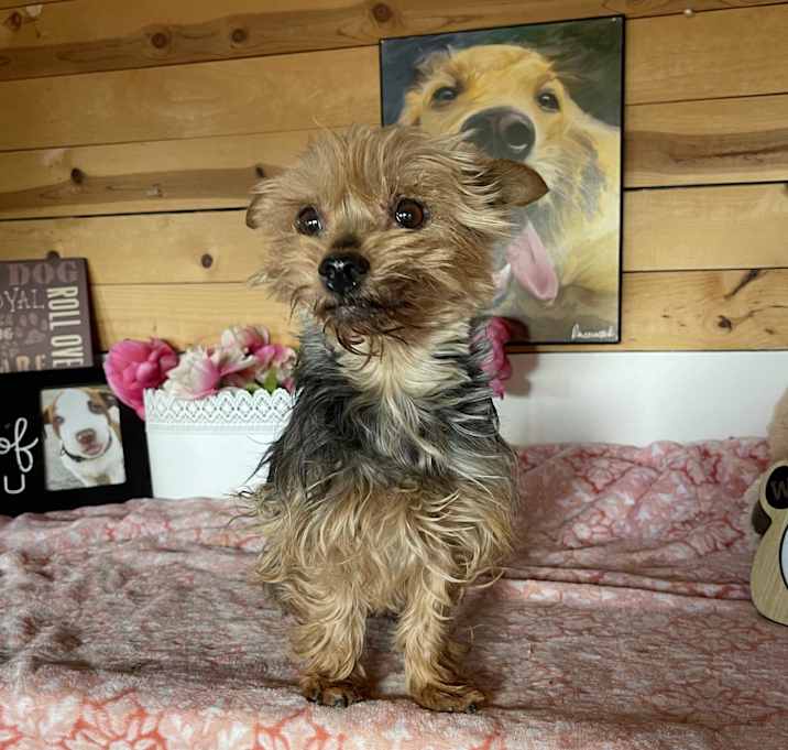 Photo of Lingling