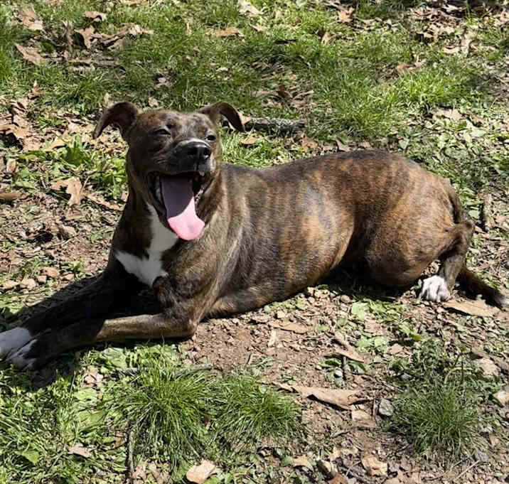 Photo of Leia
