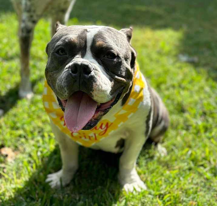 Photo of Darla Jean