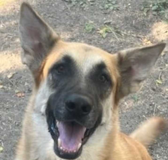 Photo of Patty