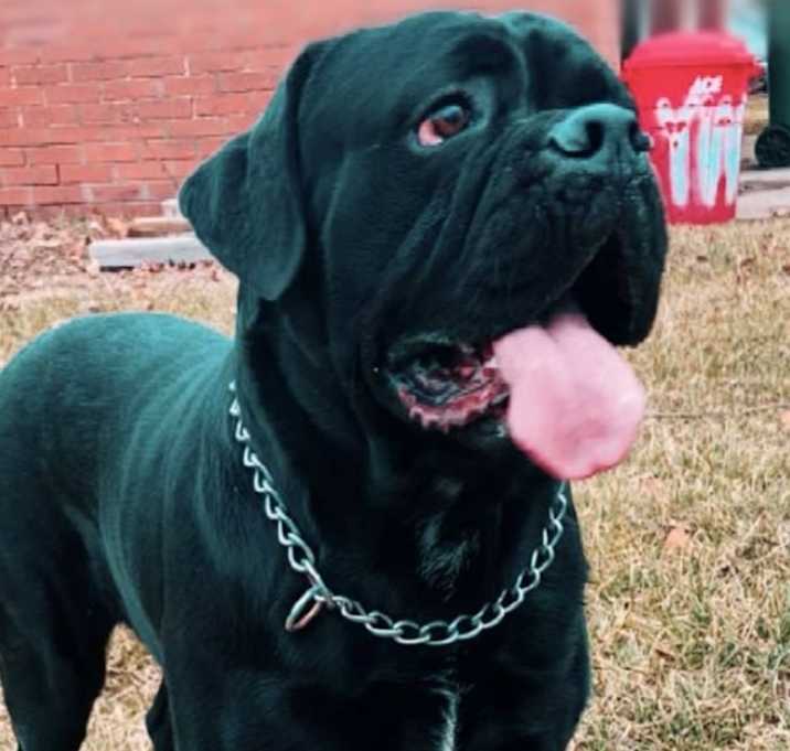 Photo of Zeus