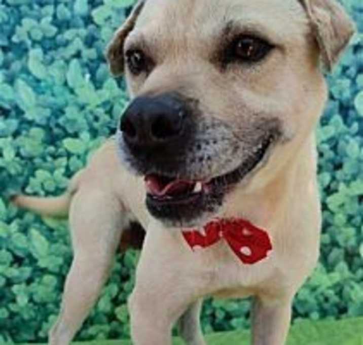 Photo of Gordy