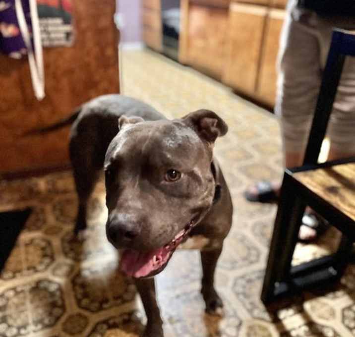Photo of Lucky