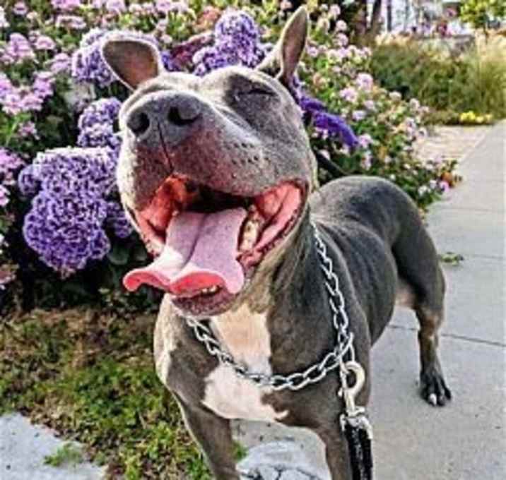 Photo of Keisy