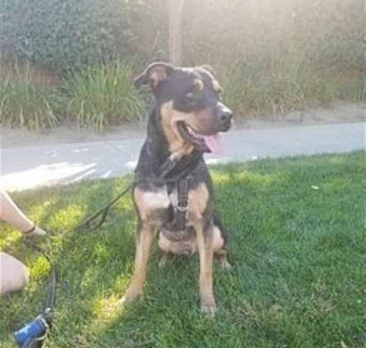 Photo of Tyson