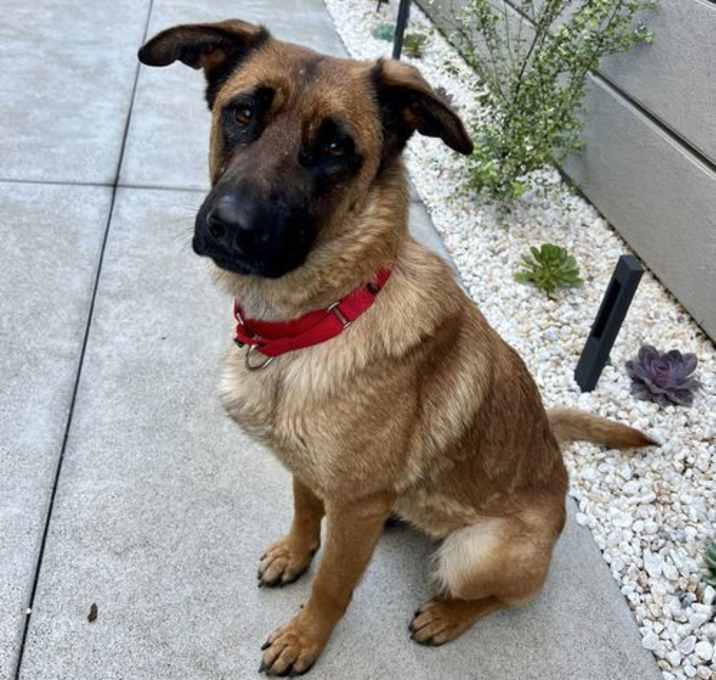 Photo of Roxie