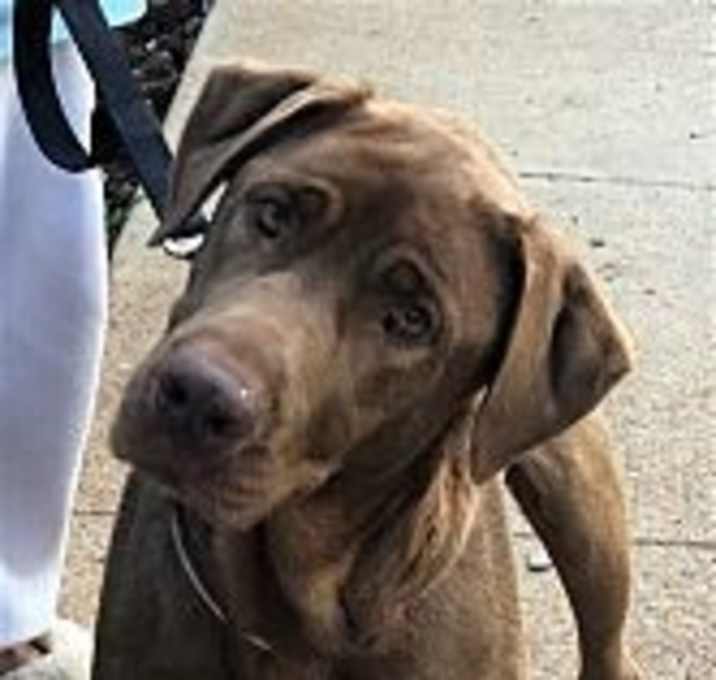 Photo of Delilah
