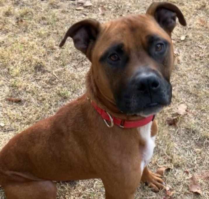 Photo of Lexi