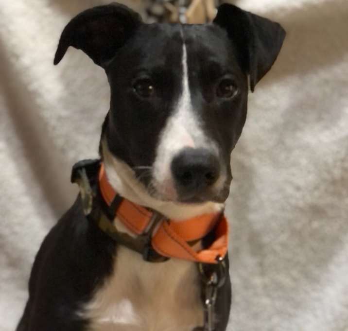 Photo of Lila