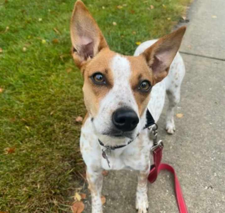 Photo of Lucy