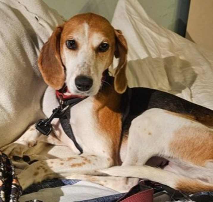 Photo of Missy aka Melissa