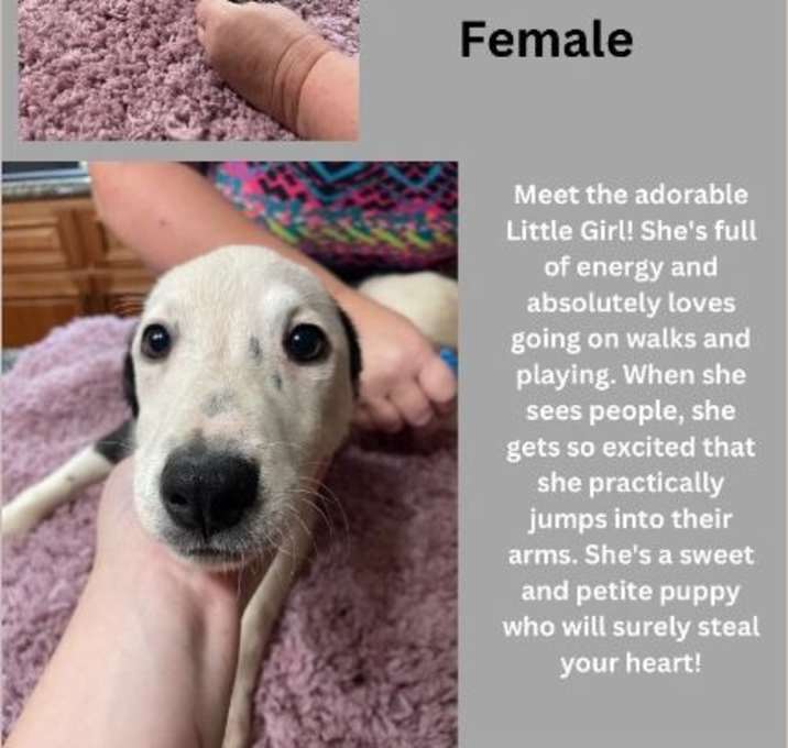 Photo of Little Girl
