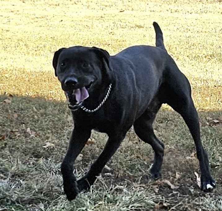 Photo of Cassidy