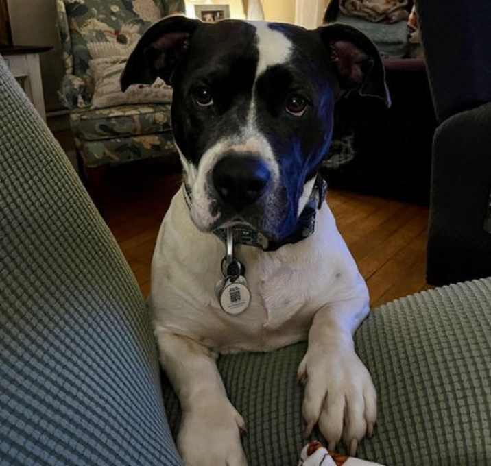 Photo of Sam