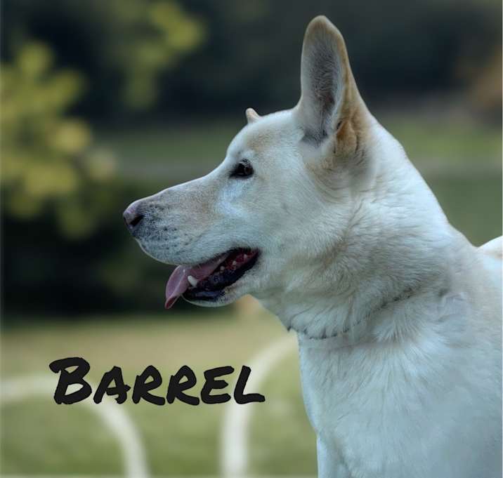 Photo of Barrel (Huxley)