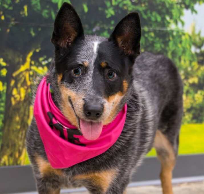 Photo of Lucie Blue