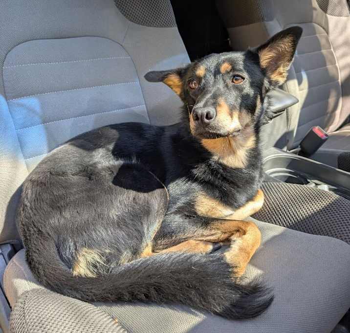 Photo of Riley