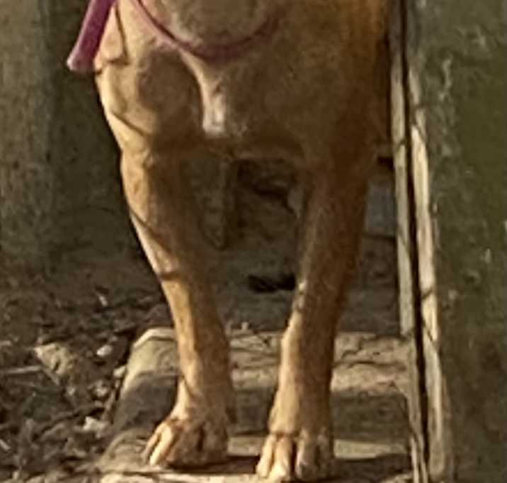 Photo of Eleni