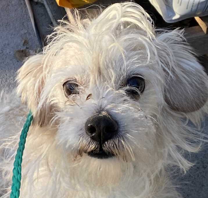 Photo of Clifford