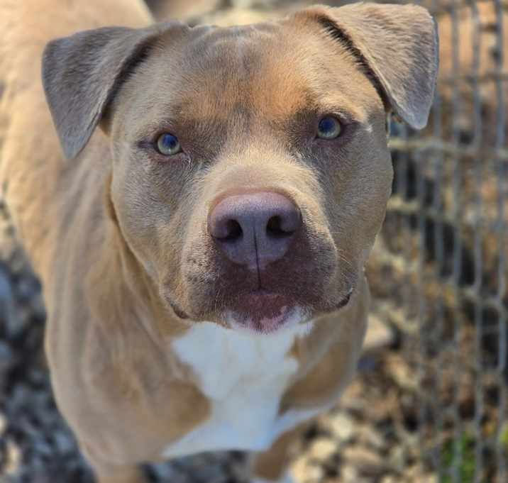 Photo of Goone in Foster