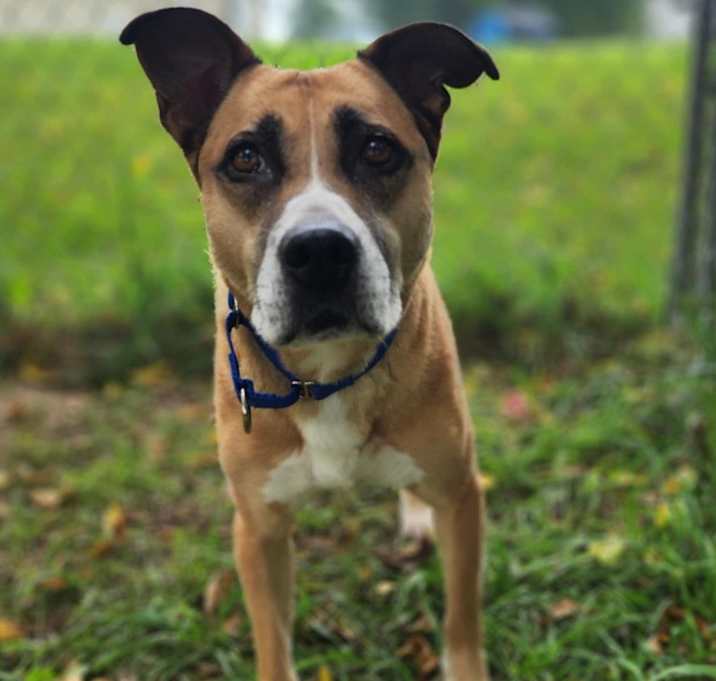 Photo of Maggie