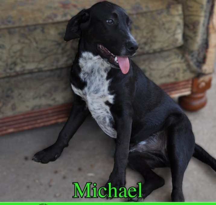 Photo of Michael