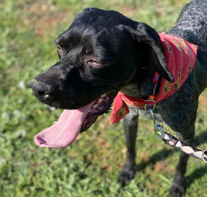 Photo of Vera