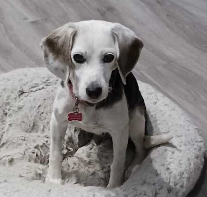 Photo of Betsy