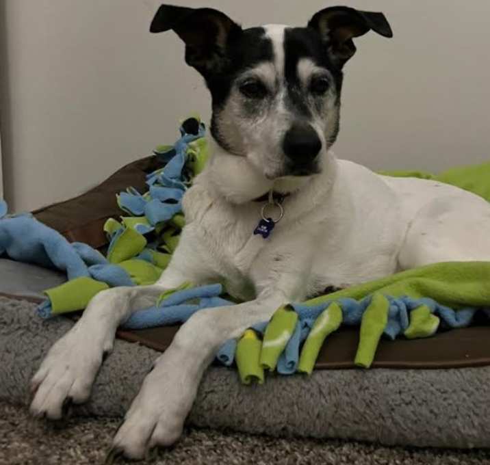 Photo of Lulu