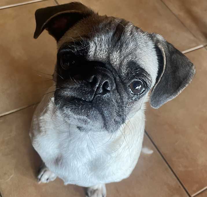 Photo of Tanny
