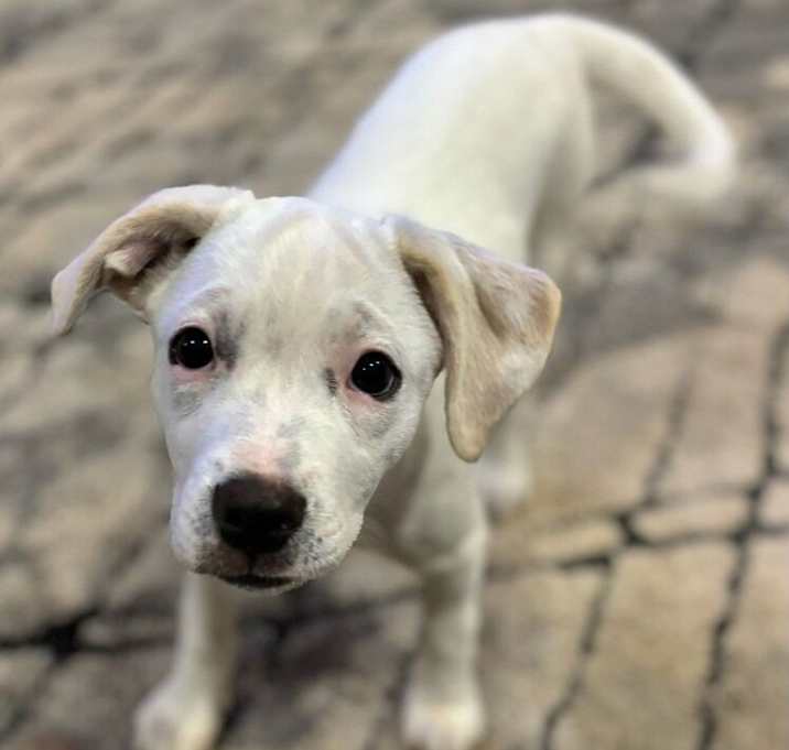 Photo of Sprout