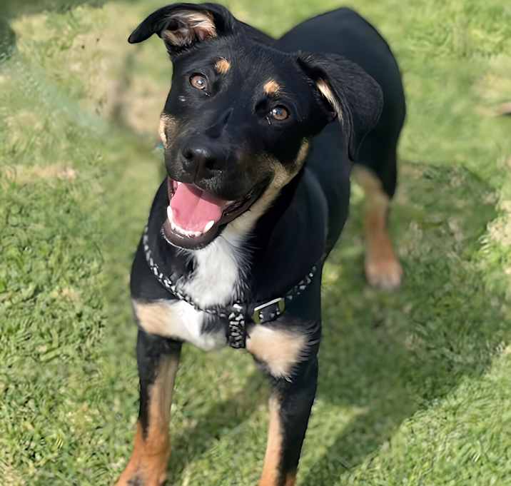 Photo of Gigi