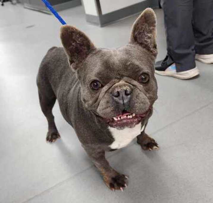 Photo of Ella