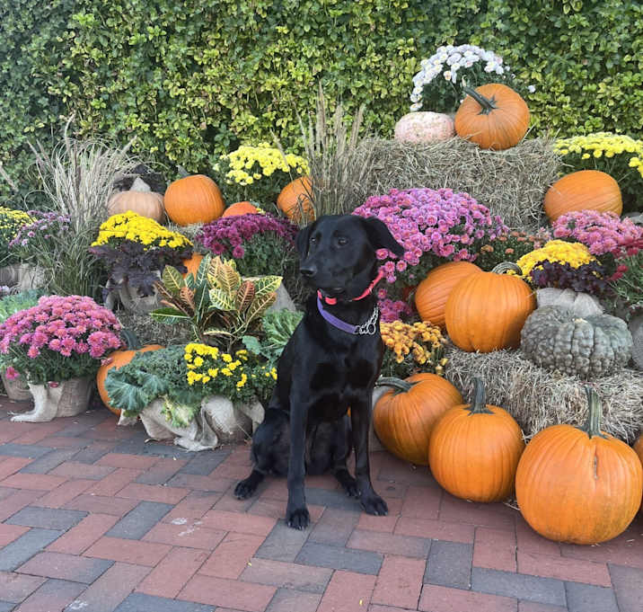 Photo of Zoey