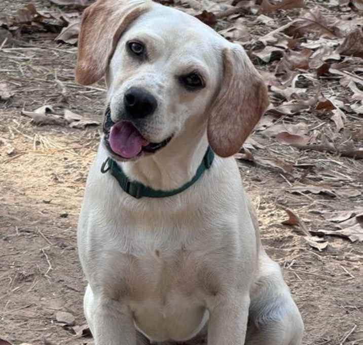 Photo of Josie