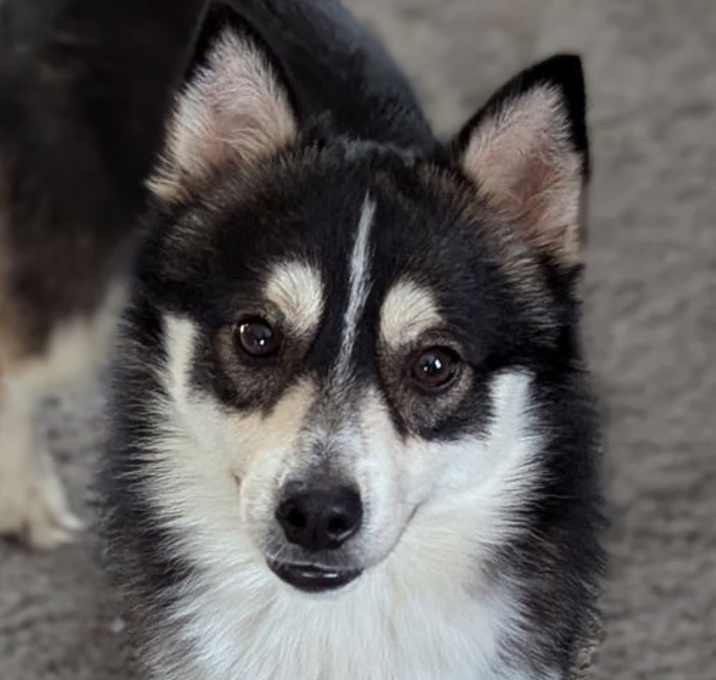 Photo of Zuko