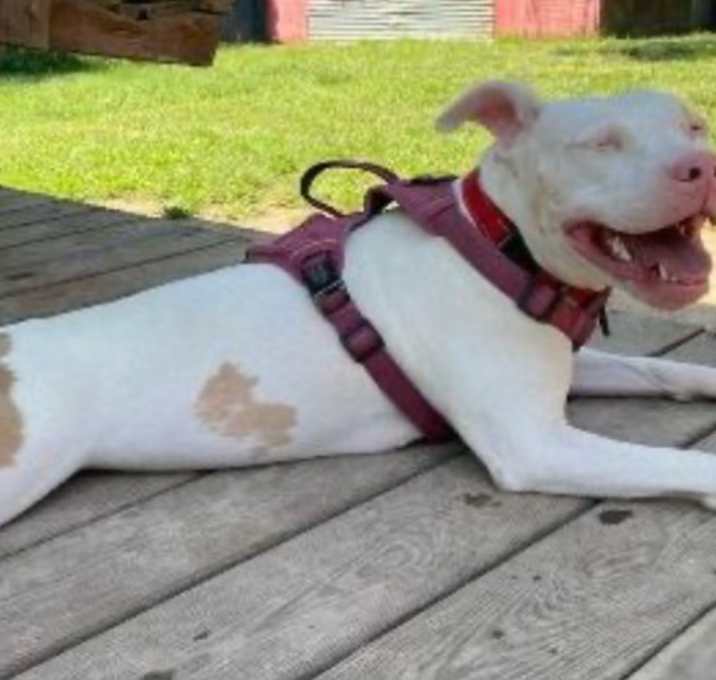 Photo of Hope (MS) NEW PIC!