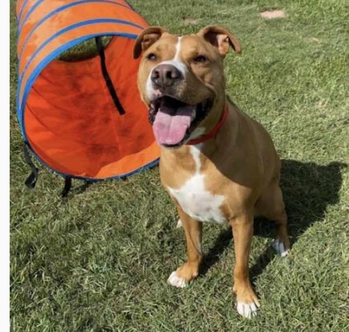Photo of Louie