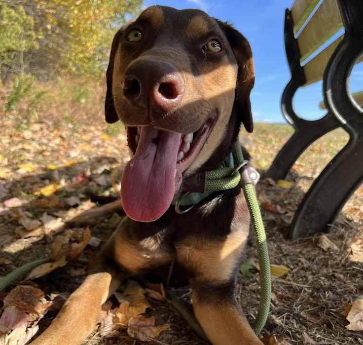 Photo of Hazel