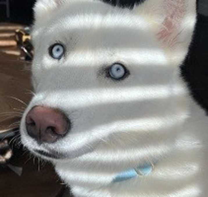 Photo of Marble
