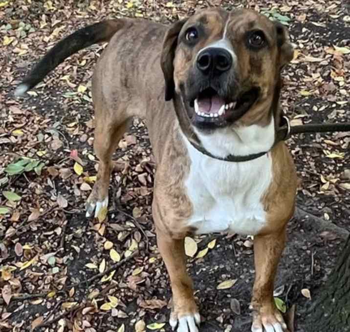 Photo of Hallie