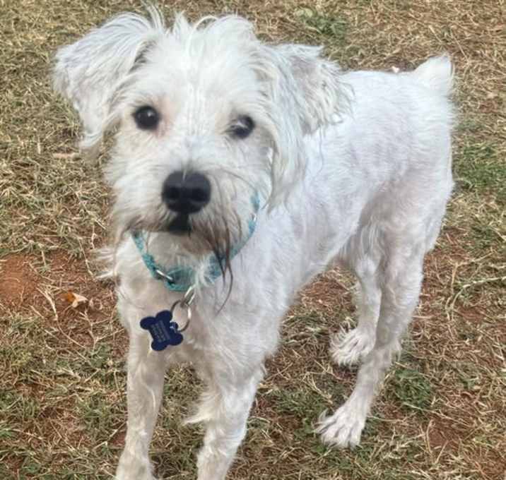 Photo of Beauford