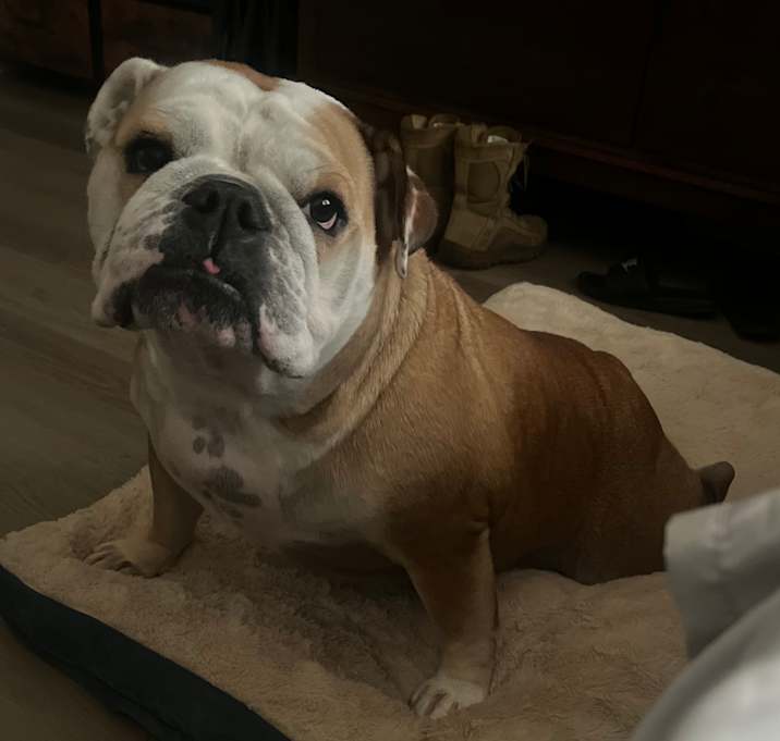 Photo of Tutti