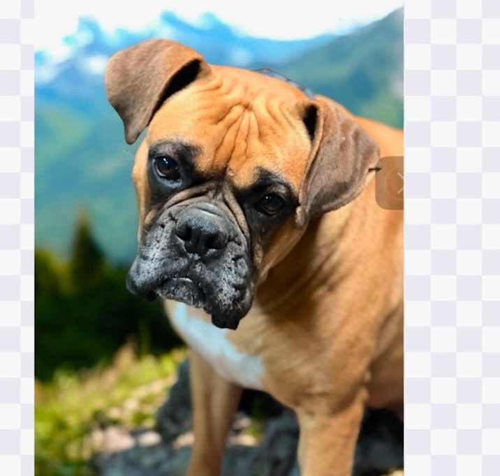 Photo of WINNIE