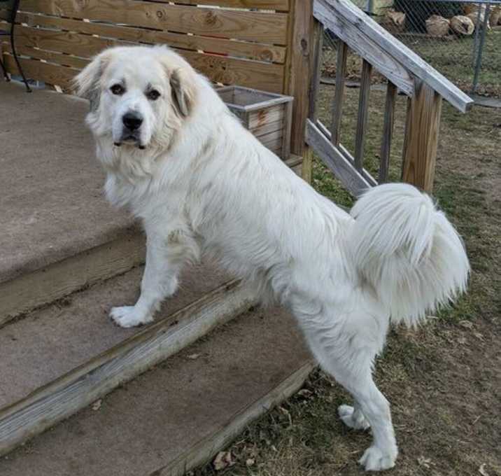 Photo of Thor