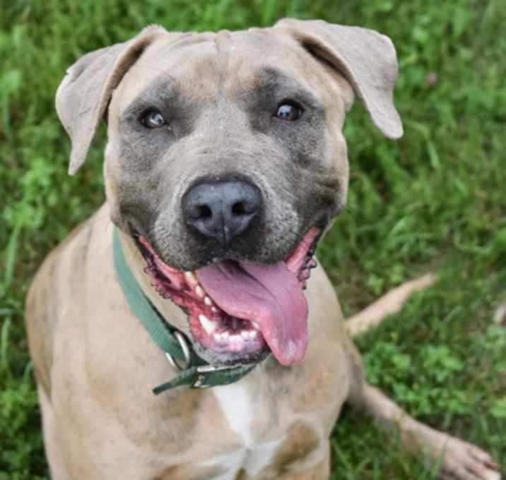 Photo of Skittles