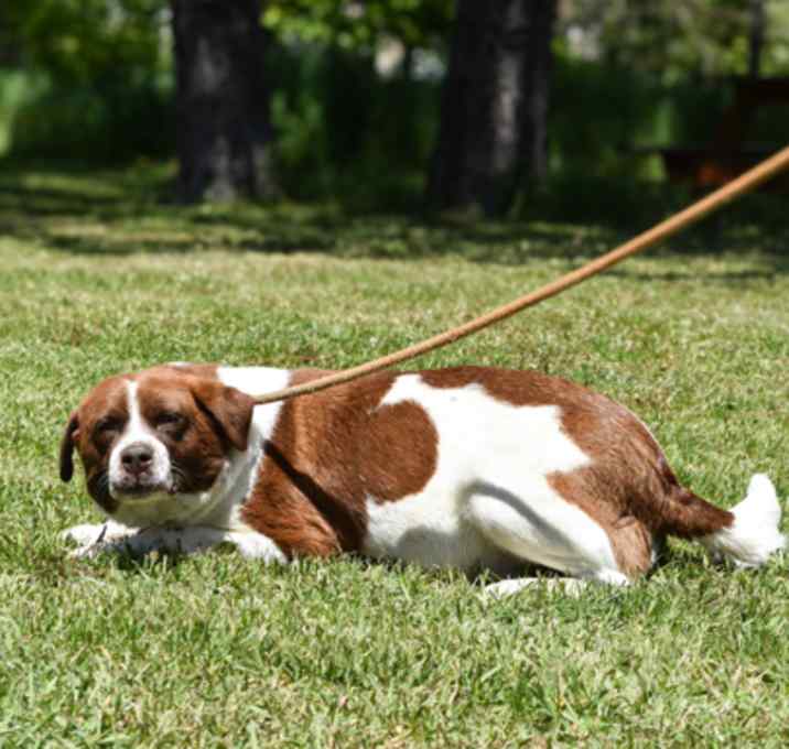 Photo of Beanie